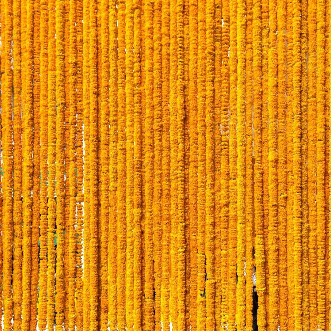 10 Pcs Artificial Marigold Garland (5 ft): Indian Pooja & Festival Decor 2 10 Pcs Artificial Marigold Garland (5
  ft): Indian Pooja & Festival Decor - Image 2