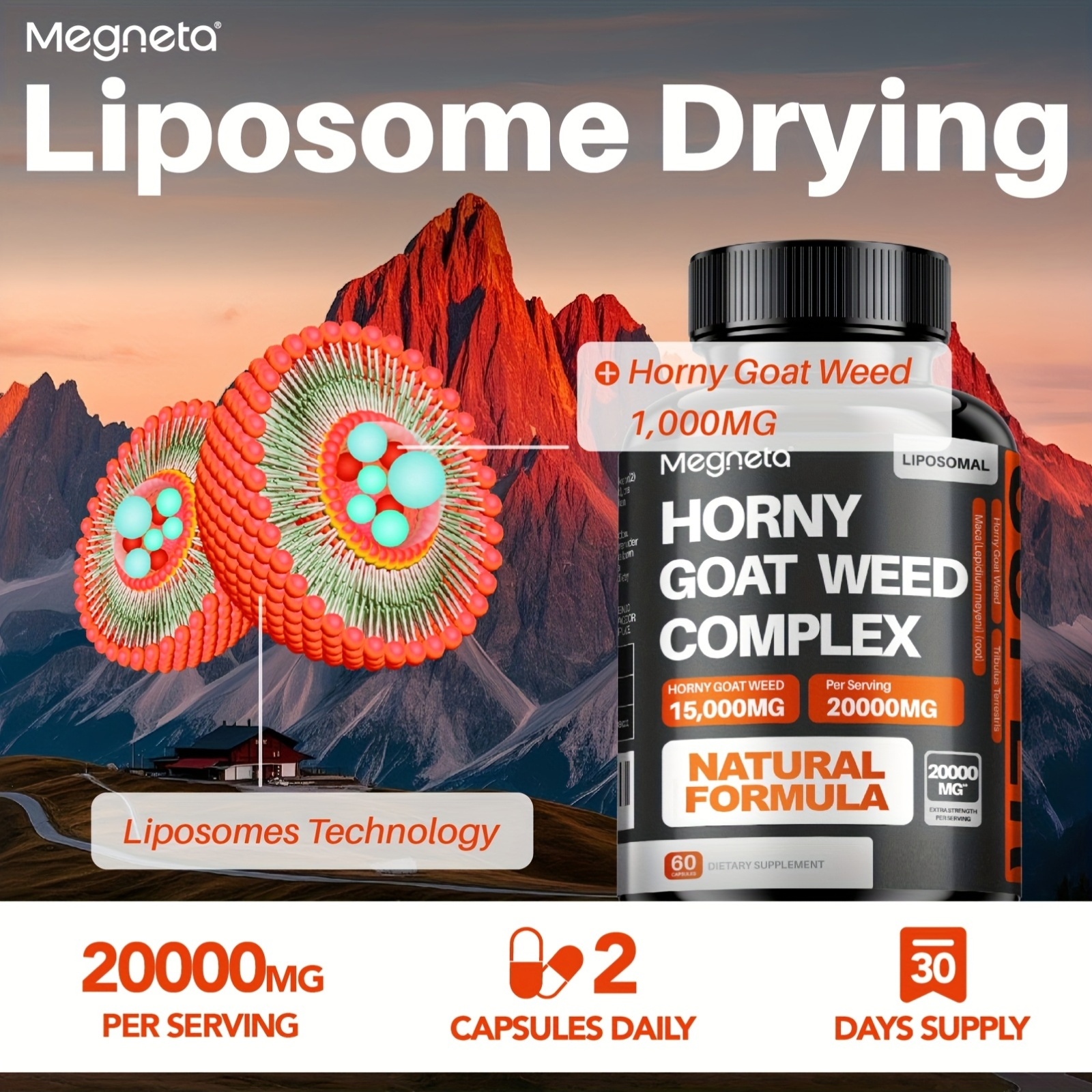 Premium Dark Roast Coffee Beans - Full-Bodied, Rich Aroma 12 Premium Dark Roast Coffee Beans -
  Full-Bodied, Rich Aroma - Image 12