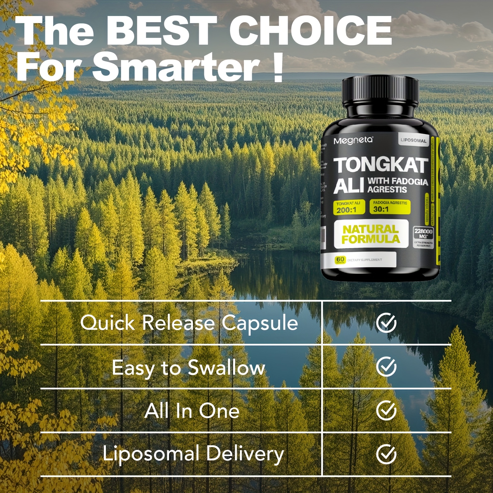 Premium Dark Roast Coffee Beans - Full-Bodied, Rich Aroma 16 Premium Dark Roast Coffee Beans -
  Full-Bodied, Rich Aroma - Image 16