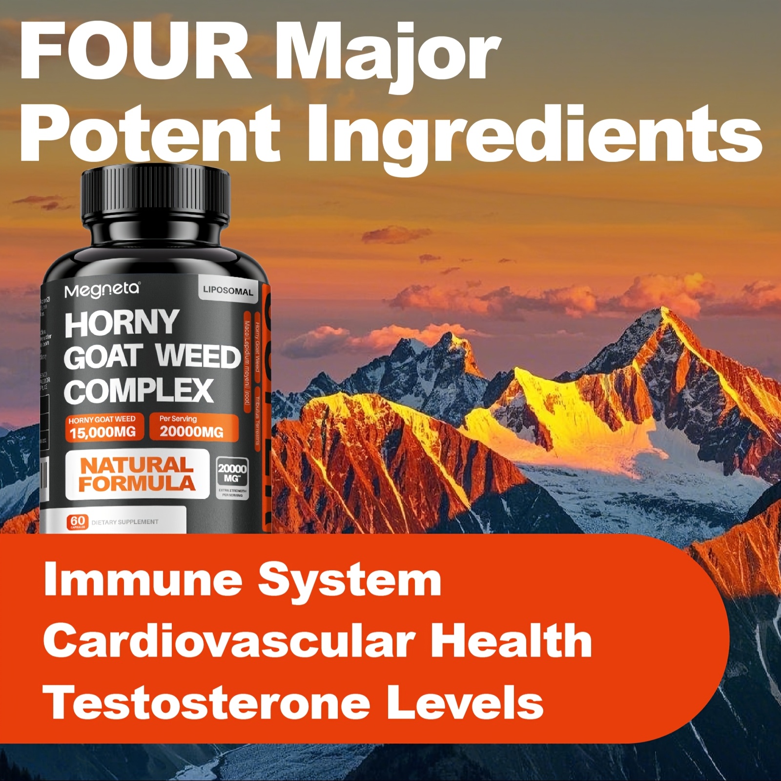 Premium Dark Roast Coffee Beans - Full-Bodied, Rich Aroma 8 Premium Dark Roast Coffee Beans -
  Full-Bodied, Rich Aroma - Image 8