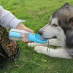 3-in-1 Portable Dog Water Bottle – Travel Feeder with Poop Bag Dispenser - Image 3